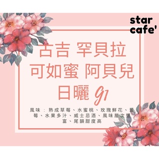 †星星咖啡†古吉 罕貝拉 可如蜜 阿貝兒 日曬 G1