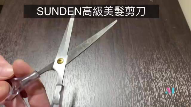 SUNDEN 高級美髮剪刀 20864 【官方旗艦館】