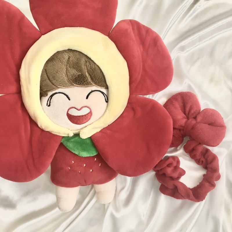 現貨降價售bts 防彈少年團鄭號錫j Hope 錫馬二代含花頭套 蝦皮購物