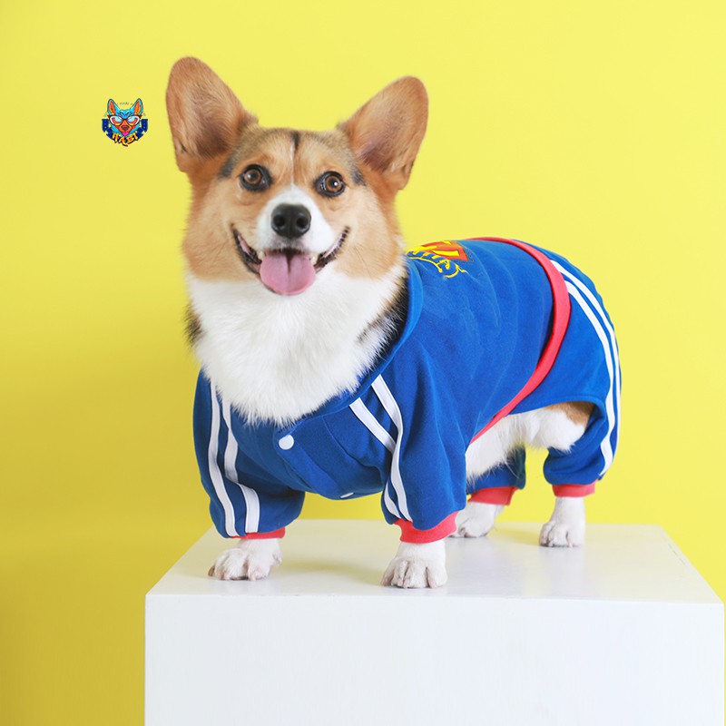 小型犬衣服新款爆款熱銷滿減滿額包郵低價沖銷量 狗狗衣服秋冬超人四腳衣可愛保暖家居服比熊柯基法斗中小型犬冬