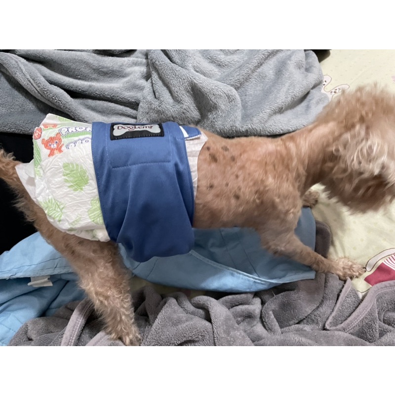 Yuka Shop 線上商店 蝦皮購物