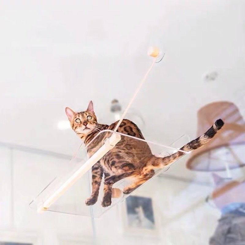 預購 喵騎士wakupet貓跳板透明簡約貓跳台貓咪窗戶吸盤貓窩貓爬架懸掛式貓床 蝦皮購物