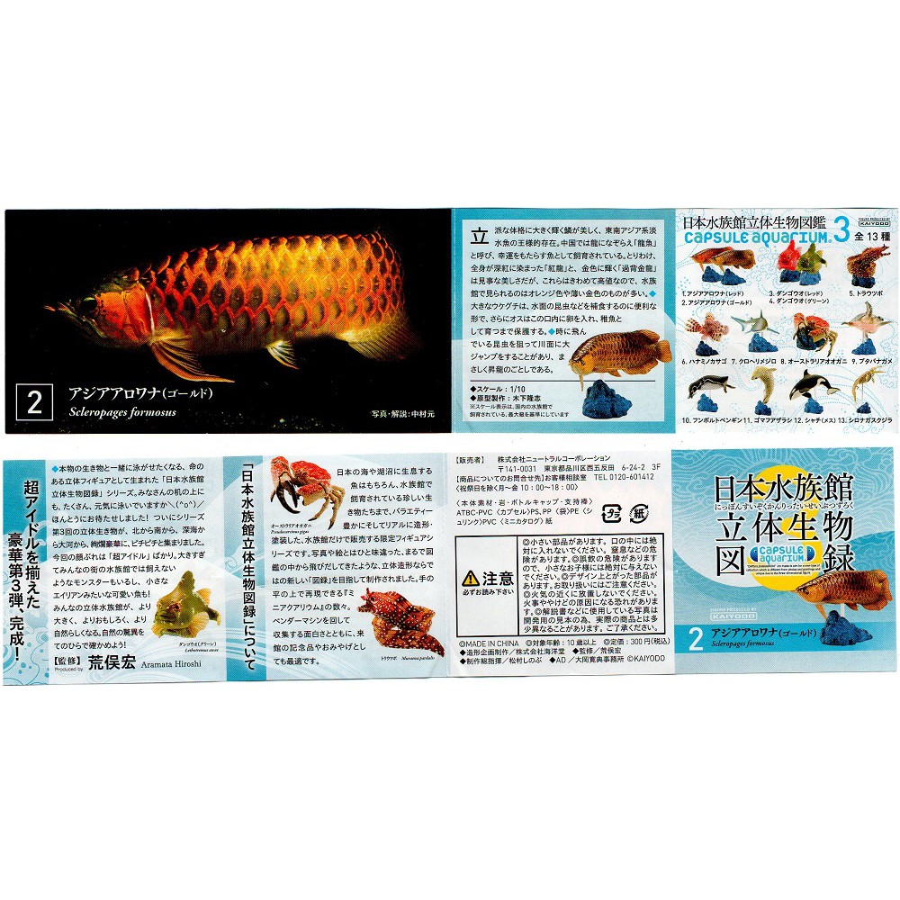 日本水族館立體圖錄3代單售鯨魚骨骼豬鼻龜漢波德企鵝 蝦皮購物