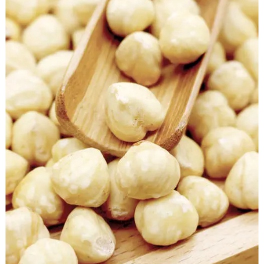 <五寶松鼠堅果鋪> 去殼生大榛果仁*松鼠/飛鼠/大赤鼯鼠/鸚鵡/磨牙零食*