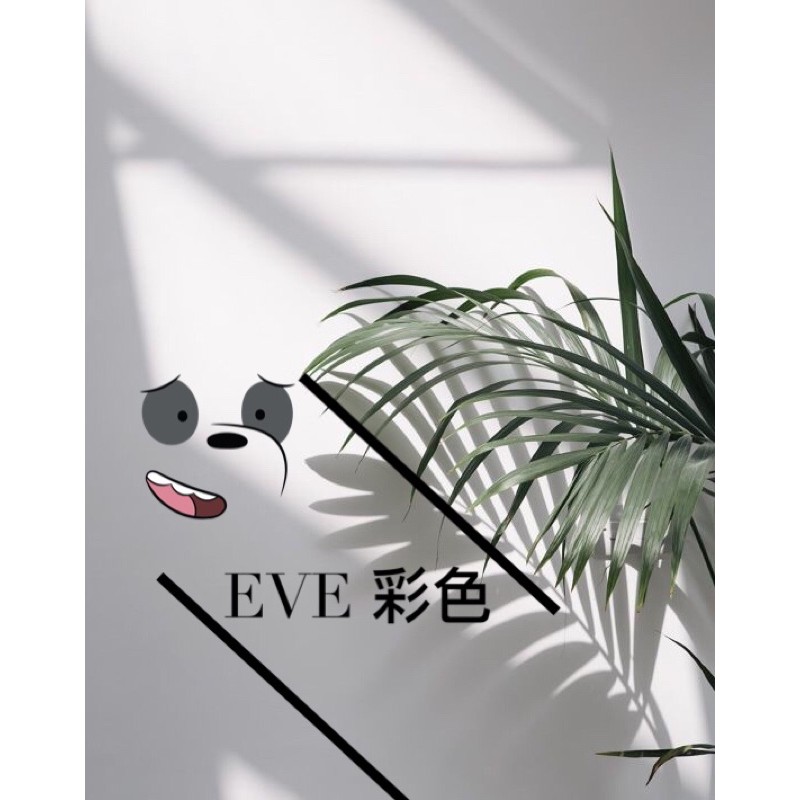 Eve60 錠 拍賣 評價與ptt熱推商品 21年4月 飛比價格