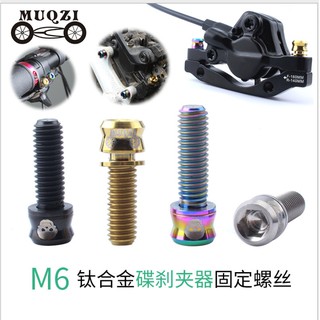 Ti TC4內六角鈦合金M6*17 / 19mm 碟煞座 彎把固定 手變速器 龍頭立把 鈦螺絲 非64鈦Ti6AL4V