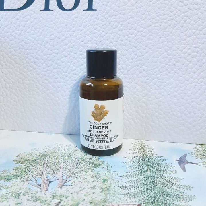 薑根鏗活調理洗髮精-30ml［THE BODY SHOP］洗髮露 洗髮乳 頭皮 滋養 潤澤 樺木 白柳樹 柔順 蓬鬆