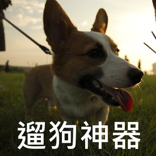 遛狗神器 自動伸縮牽引繩 寵物繩