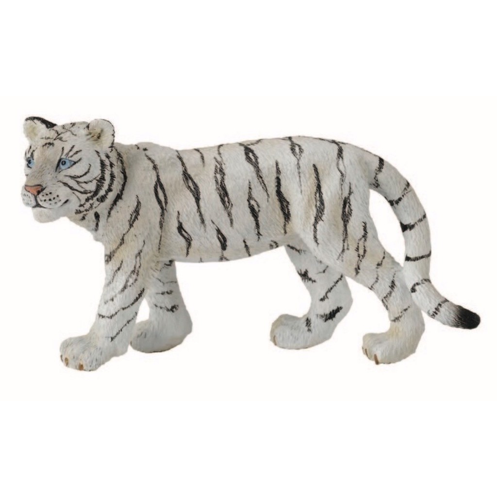 Collecta 幼白老虎(走姿) 白虎 擬真動物 動物模型 $230 「寶貝妞」