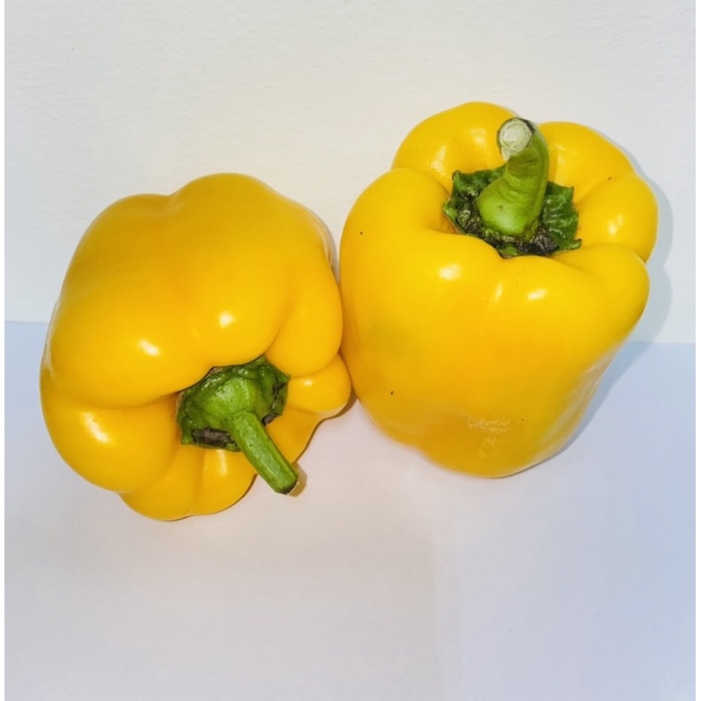黃色彩色甜椒苗 2.5寸黃軟盆 甜椒 黃色 彩椒 彩色甜椒 一代交配