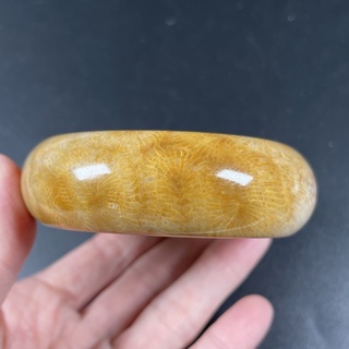 玩石頭♥️ 天然 珊瑚玉 手鐲 56圈口 蜜糖黃 鳳尾紋 微透光 現貨 實拍