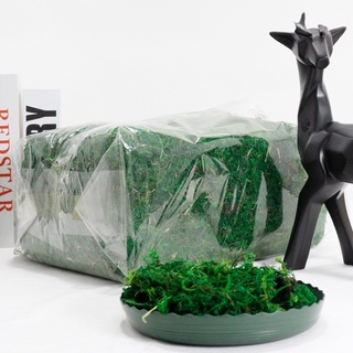 民雄發貨🌿模擬乾燥草絲🌿DIY乾燥草皮 碎雜草 模型假草 假植物 假草皮 草坪