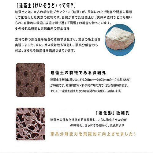 結帳送金元寶 40 30cm 外銷日本珪藻土素色珪藻土現貨地墊珪藻土爽快地墊矽藻土地墊 蝦皮購物