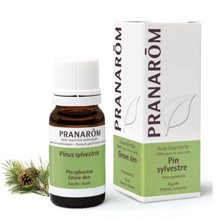 【現貨】普羅芳 Pranarom 松樹 赤松 Pine 精油 歐洲原裝進口 10ml