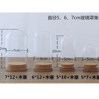 現貨多尺寸小型玻璃罩 迷你防塵罩 公仔玻璃罩 乾燥花防塵罩 試管花 玻璃罩 軟木塞玻璃 公仔防塵罩 永生花玻璃 U型玻璃