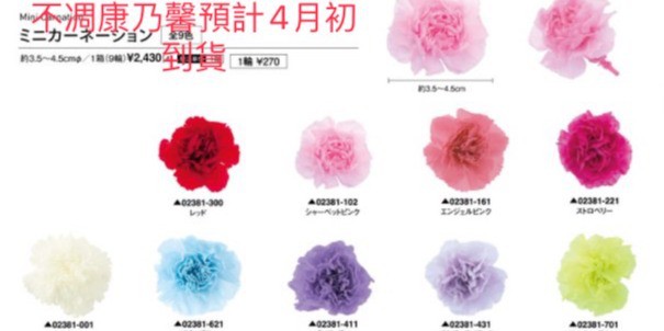 Be A Florist 花藝夢 線上商店 蝦皮購物