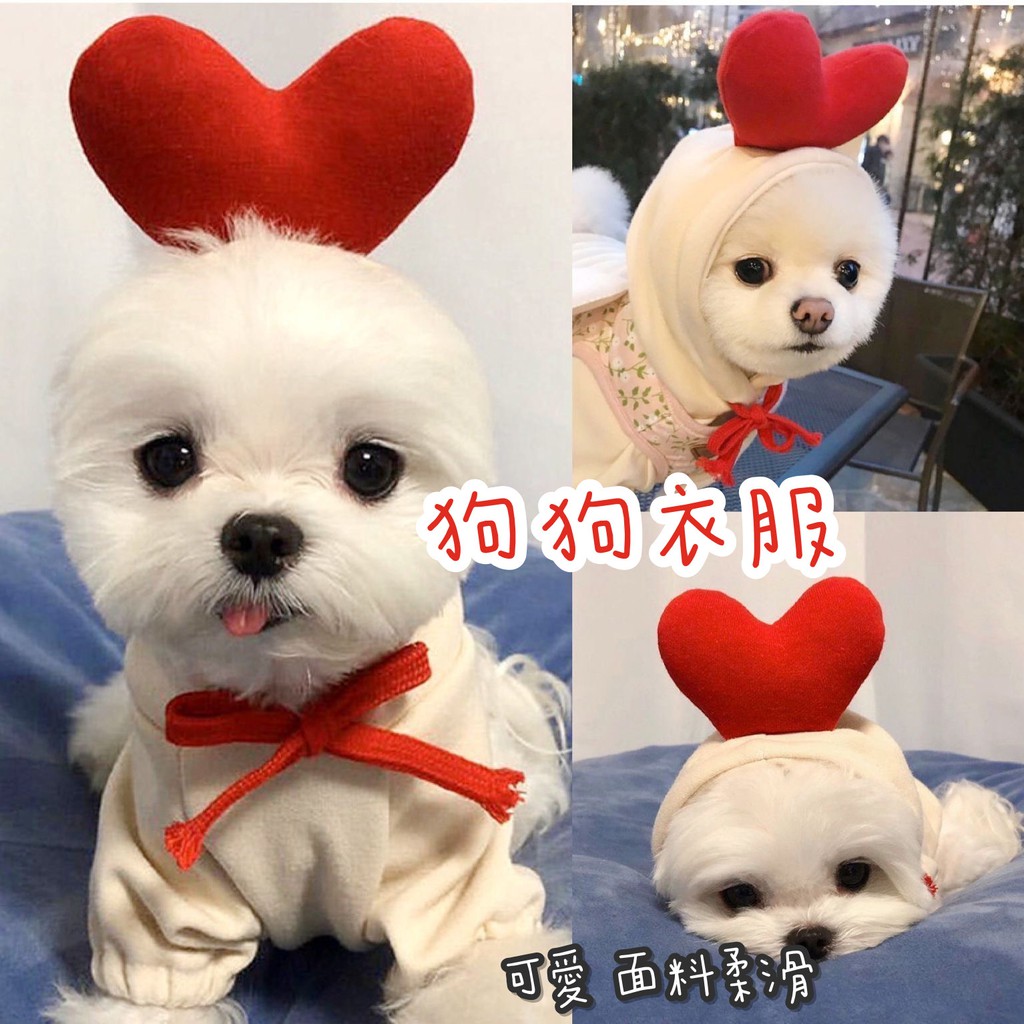 寵物衣服可愛狗狗衣服貓咪衣服小型犬中型犬大型犬可愛衣服 蝦皮購物