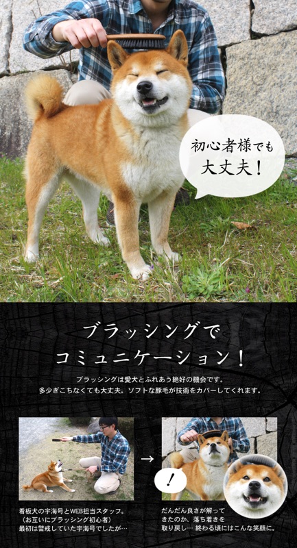 預購日本native Dog X 德國keller 寵物用鬃毛刷 蝦皮購物