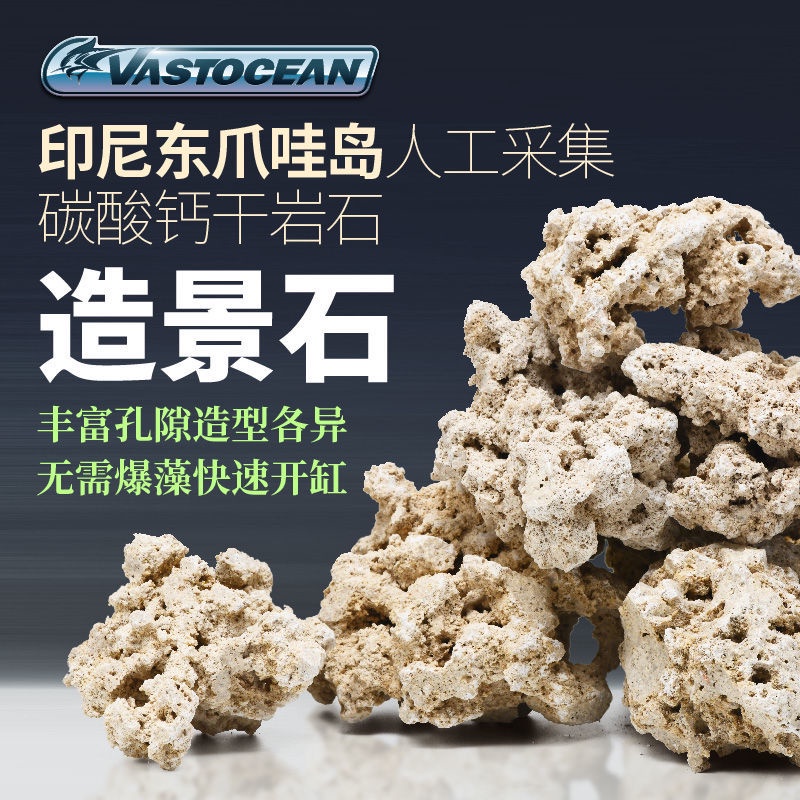 【魚缸造景 魚缸擺件】Vastocean印尼爪哇島干巖石海缸造景石代替活石人工開采死石培菌