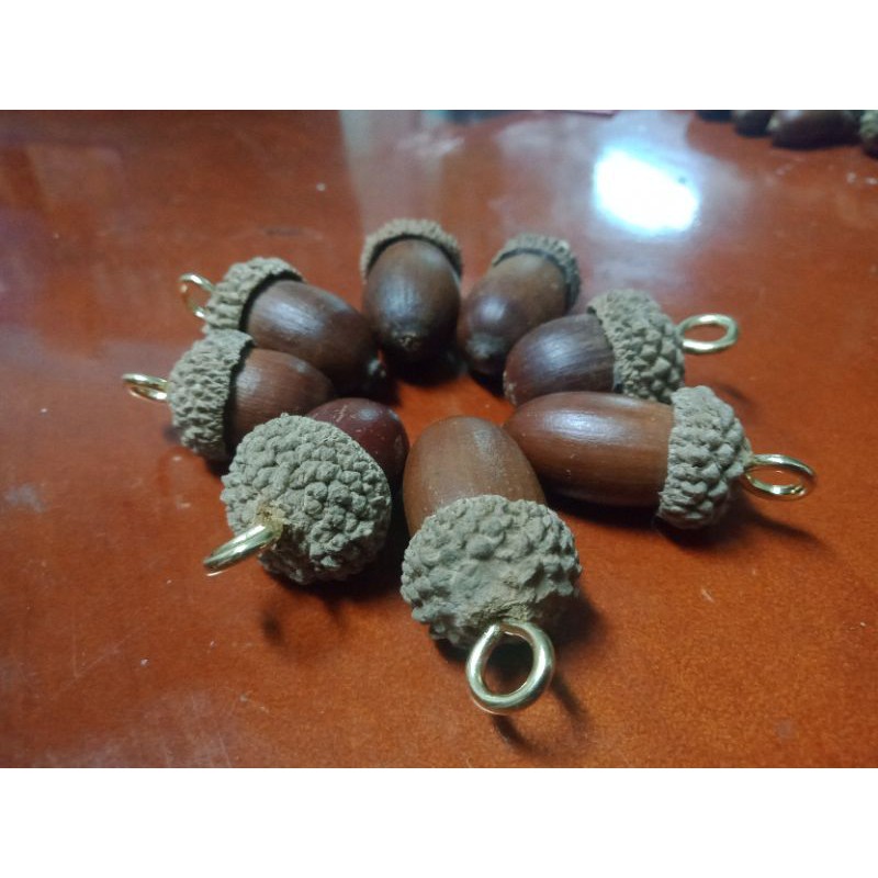吊飾-鑰匙圈-燥果實核果橡栗栗果櫟果殼斗科橡樹果