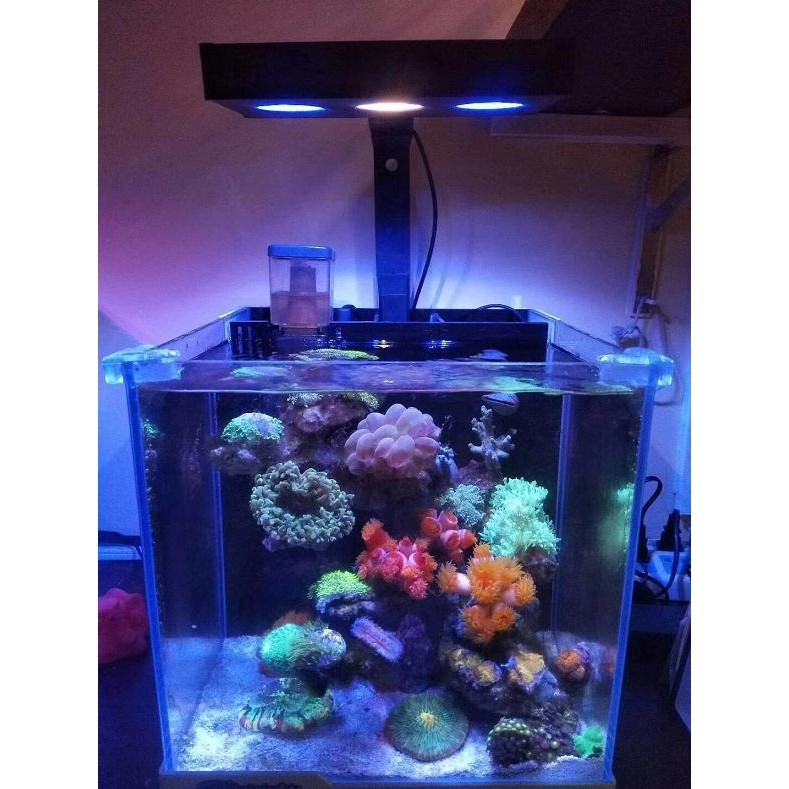 下殺升級版水中騎士30w 全光譜海水燈珊瑚燈魚缸水族照明燈 蝦皮購物