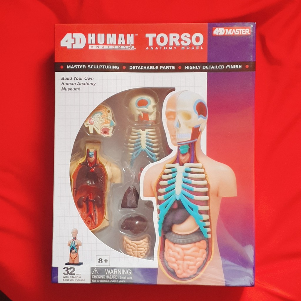 4D MASTER NO.26051 人體解剖教學模型 益智拼裝玩具