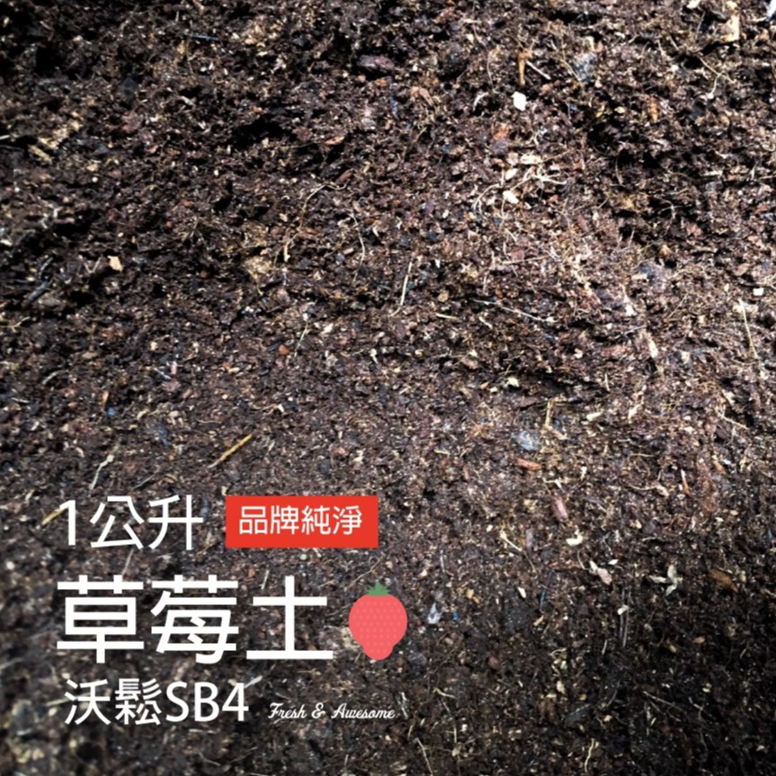 Carmo沃鬆sb4草莓專用土 5l 栽培土泥炭 C0040 蝦皮購物