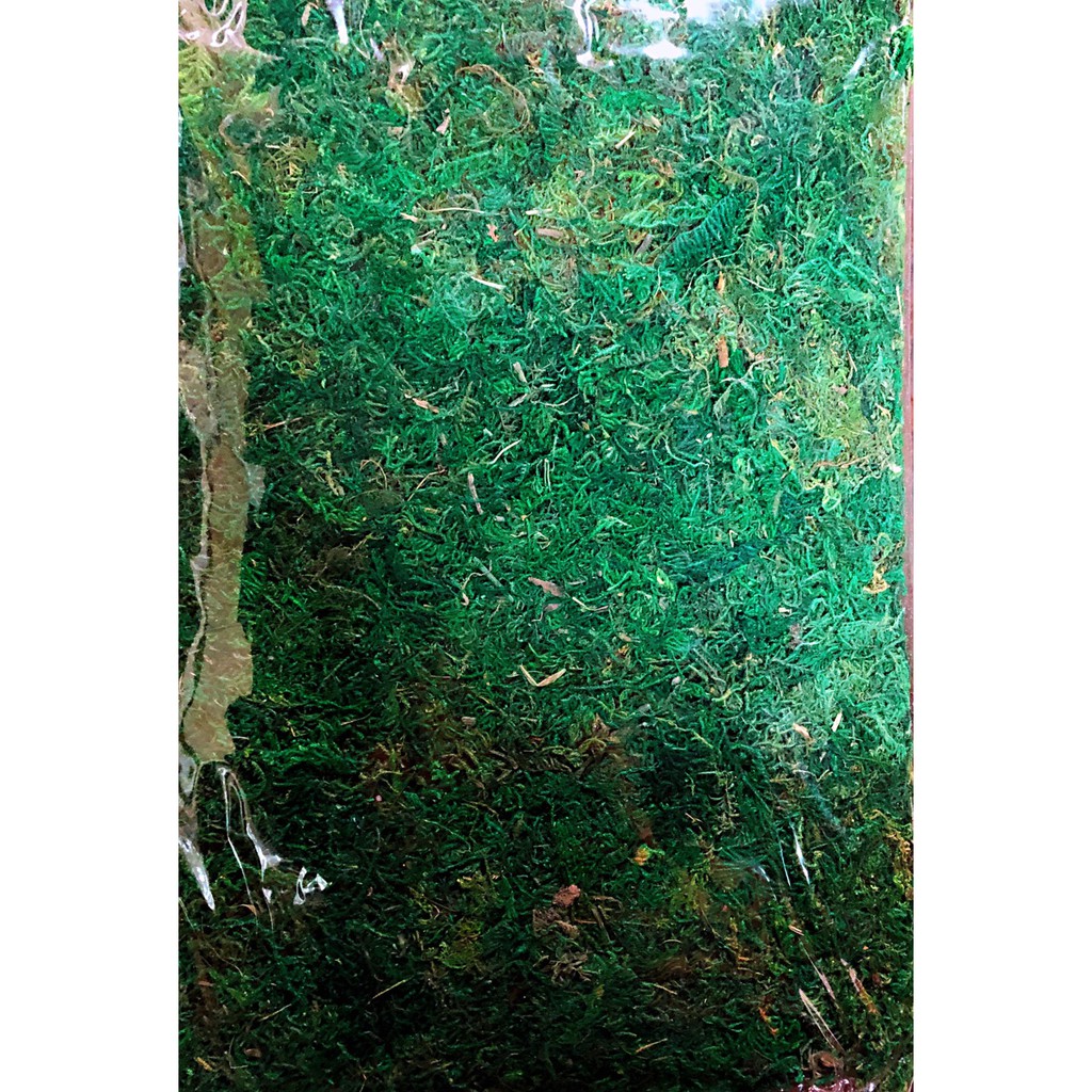 現貨 大包裝系列 染色綠水苔 植物用水苔 綠水苔 綠水草 裝飾水苔 鋪面 裝飾 園藝 苔球 苔球材料 蝦皮購物