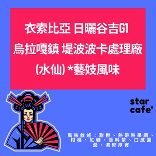 †星星咖啡†衣索比亞 日曬谷吉G1 堤波波卡處理廠(水仙) Lot191 烏拉嘎鎮 *藝妓風味