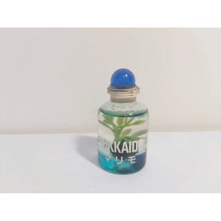 轉賣 日本帶回 北海道阿寒湖綠藻球 玻璃罐 收藏
