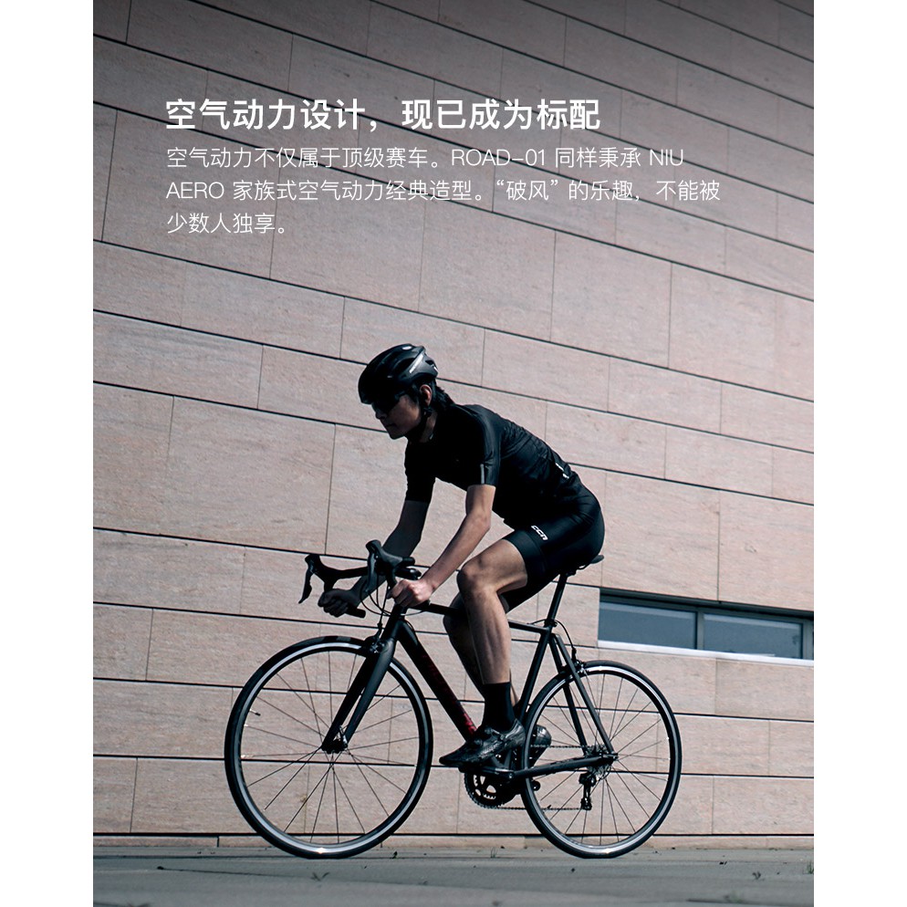 niu aero bike