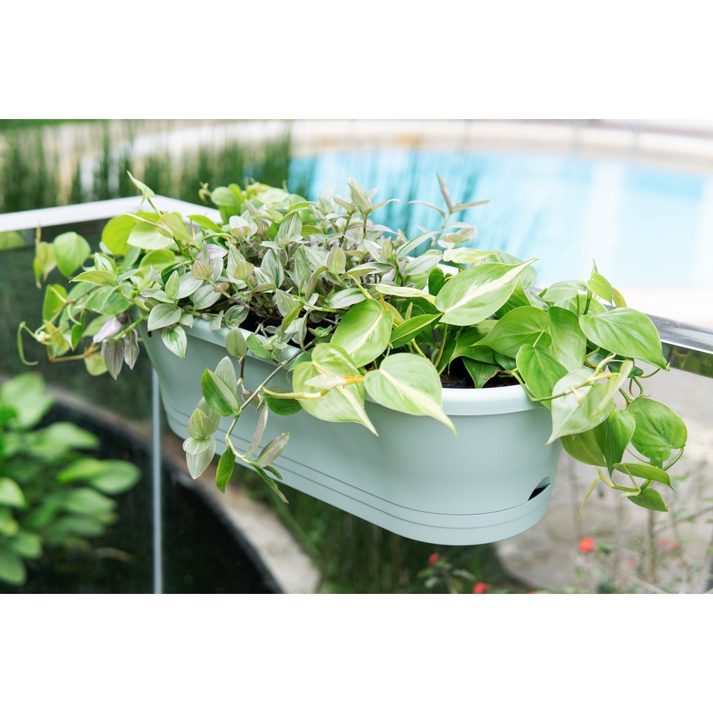 歐洲進口 抗UV無毒環保質感系列科西嘉陽台掛盆 60cm 植栽盆器花器 多色彩莫蘭迪花色橢圓長方形區隔花盆盆栽花器