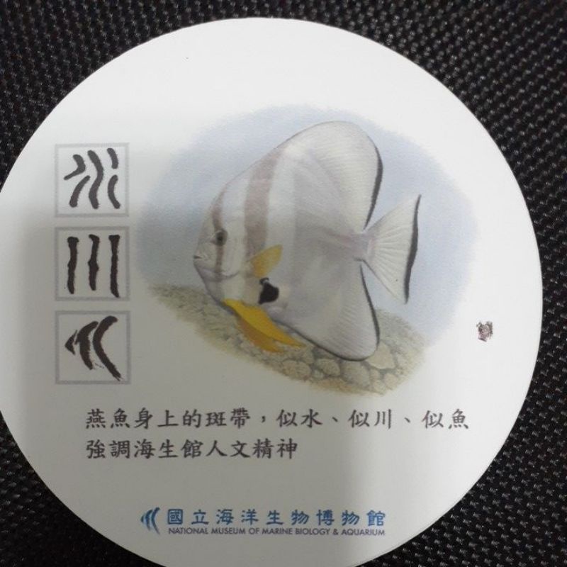 海生館陶瓷吸水杯墊（燕魚）