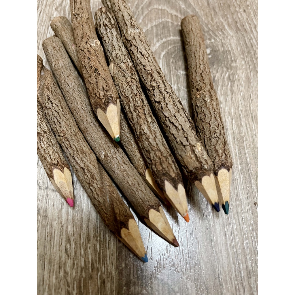 木製色鉛筆/木頭色鉛筆/色鉛筆/樹枝筆/復古裝飾/色鉛筆/木頭筆/裝飾品木製裝飾原住民裝飾園藝居家