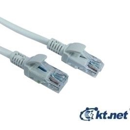 [小燦的店] RJ45 2米 3米 5米 10米 15米 20米 30米 網路線 CAT5E CAT5 網路傳輸線