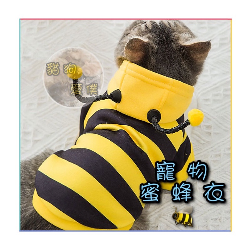 台灣現貨🌻貓狗愛僕🌻全新 蜜蜂寵物衣 寵物衣 造型衣服 可愛衣服 毛孩衣服 兩腳衣 貓狗衣服 寵物衣服