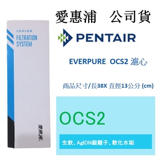 【免運】【開發票】【愛惠浦公司貨 】EVERPURE OCS2 濾心 公司貨淨水濾芯 雷射標籤