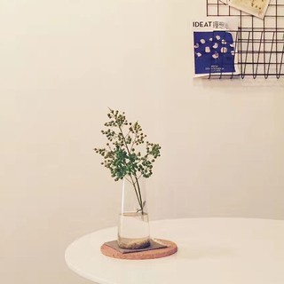 Miss 2 簡約無印風壁掛式透明玻璃花瓶 吊掛水栽植物 蝦皮購物