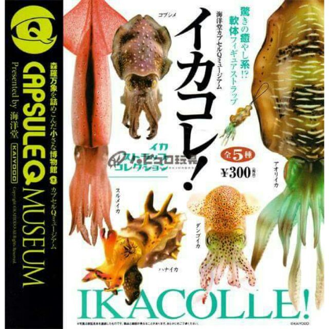 海洋堂(KAIYODO)] (シマノ×海洋堂コラボ)STRIKE FANTASY(ストライク