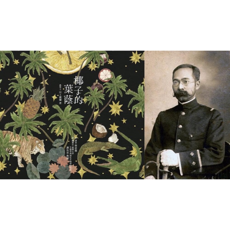 晃晃書店 新書 自然史的重要經典 椰子的葉蔭 臺灣總督府博物館首任館長川上瀧彌著作 蝦皮購物