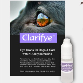 clarifye eye drops for dogs