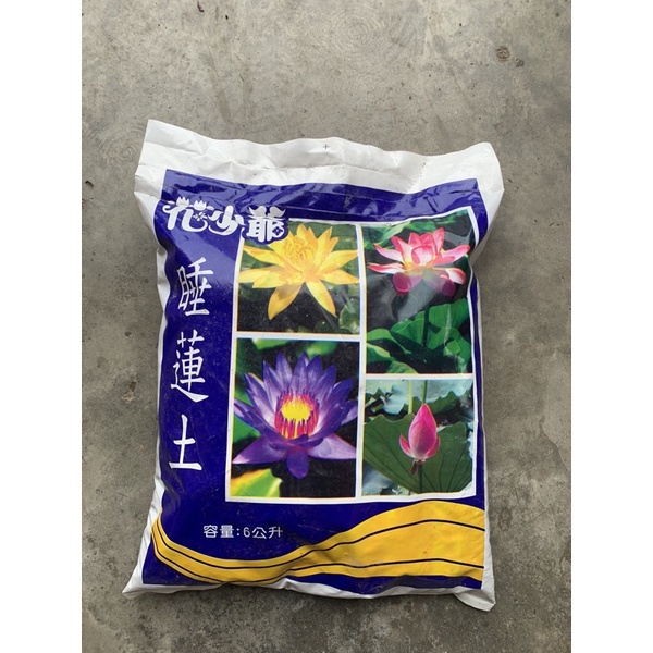 花少爺睡蓮土 Ptt Dcard討論與高評價網拍商品 21年11月 飛比價格