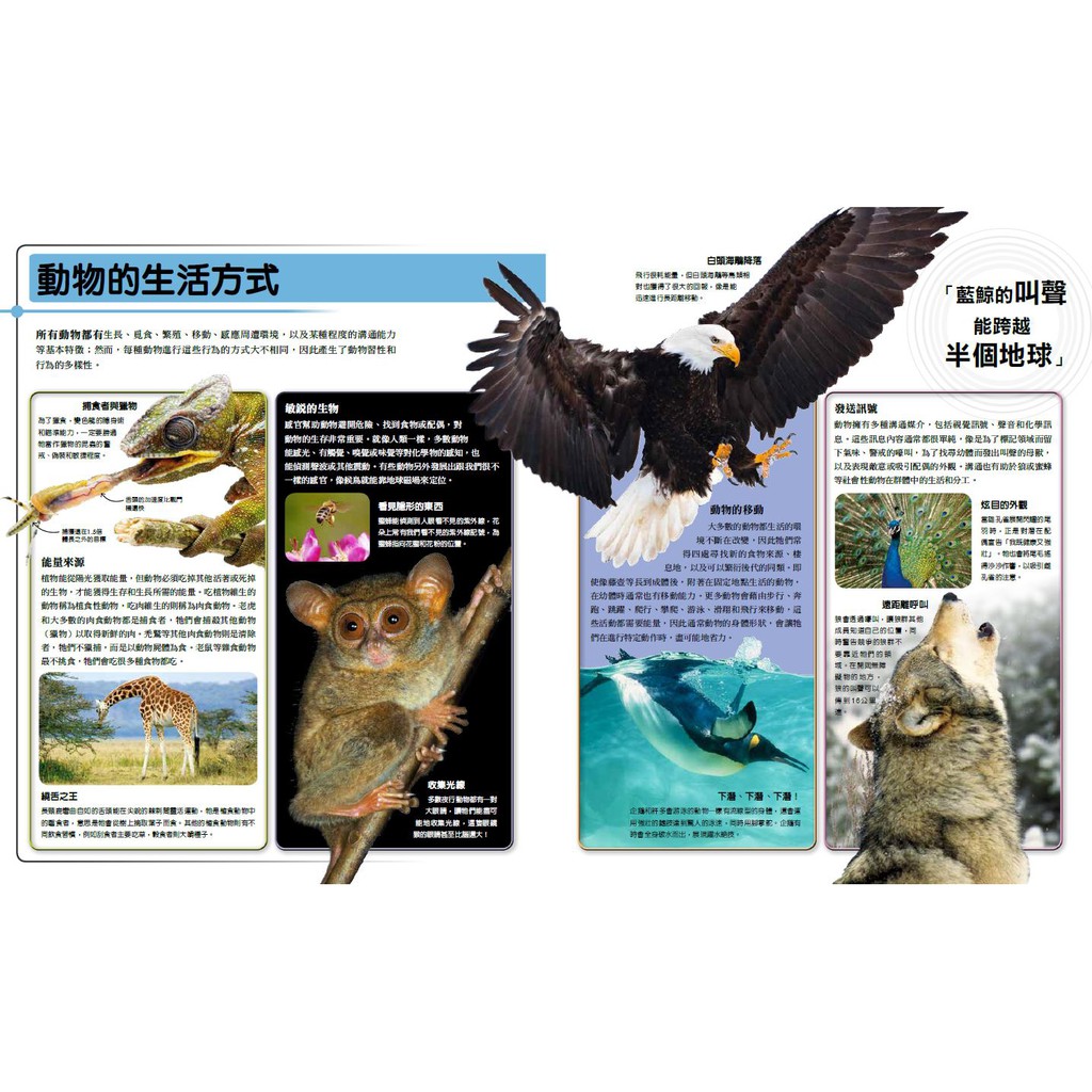 超能力動物百科 100種地球上最大 最快 最致命的動物 蝦皮購物