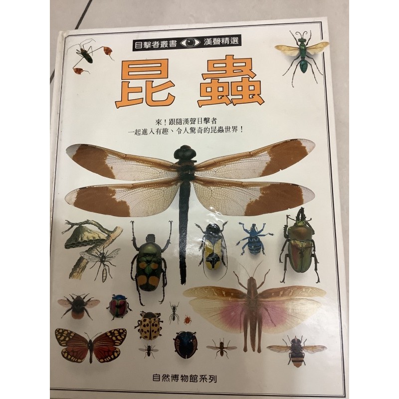 目擊者叢書 漢聲精選 昆蟲 自然博物館系列