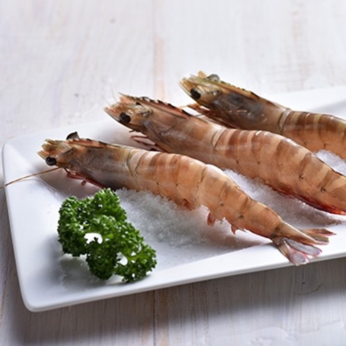 【日芳珍饌】野生の海虎蝦 20-26尾/1kg