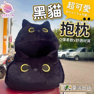 【臺灣出貨✨】貓咪大抱枕 黑貓抱枕 貓咪抱枕 可愛抱枕 大抱枕 絨毛娃娃 交換禮物 午睡枕 抱枕 睡枕【HL88】