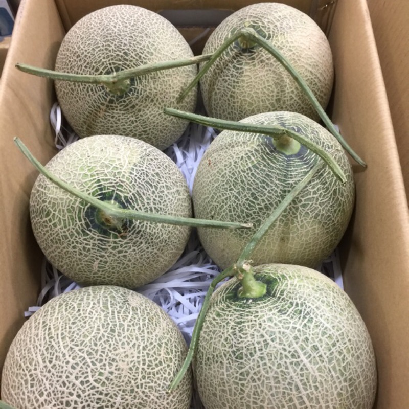 日本靜岡品種 哈密瓜  2公斤