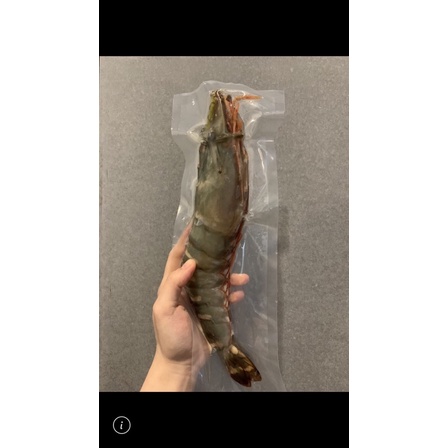 【】野生海虎蝦 菲律賓大草蝦 手臂蝦