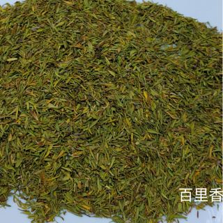 {香料地圖} 百里香 百里香粉 摩洛哥香料