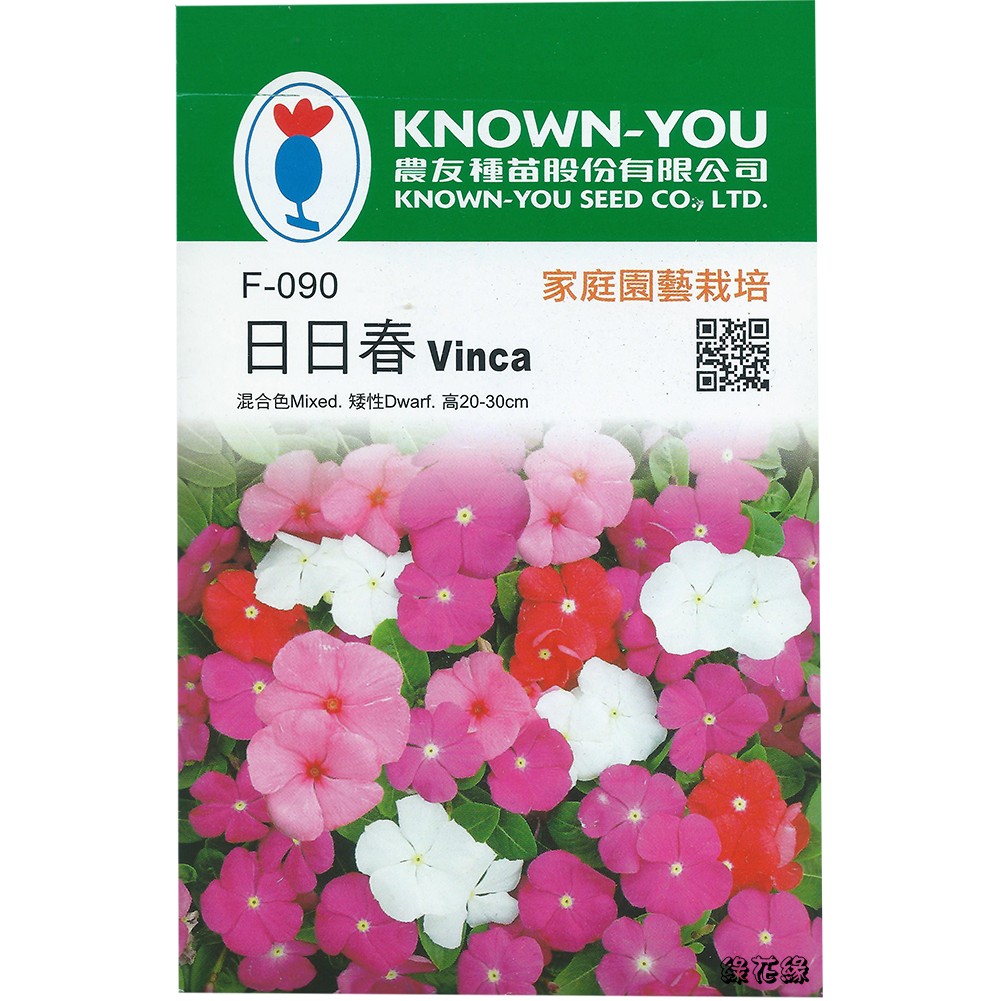 草花種子日日春vinca 蝦皮購物